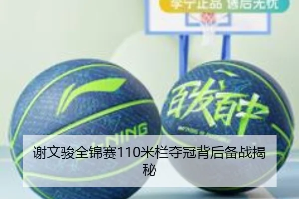 谢文骏全锦赛110米栏夺冠背后备战揭秘